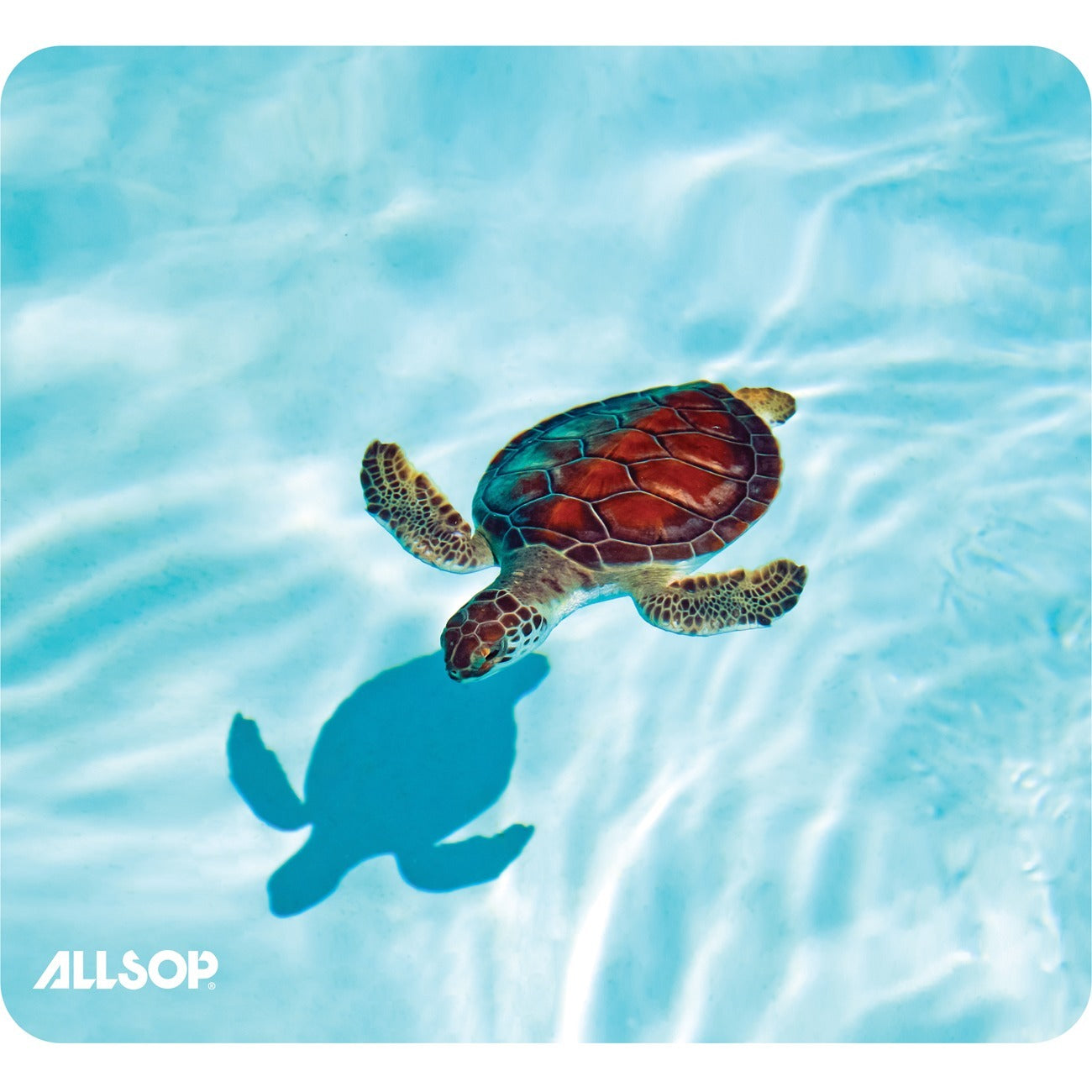 Allsop NatureSmart Image Mousepad - Turtle - (31425) - Turtle - 0.10" Height x 8.50" Width - Latex, Natural Rubber - Skid Proof - 1 Each