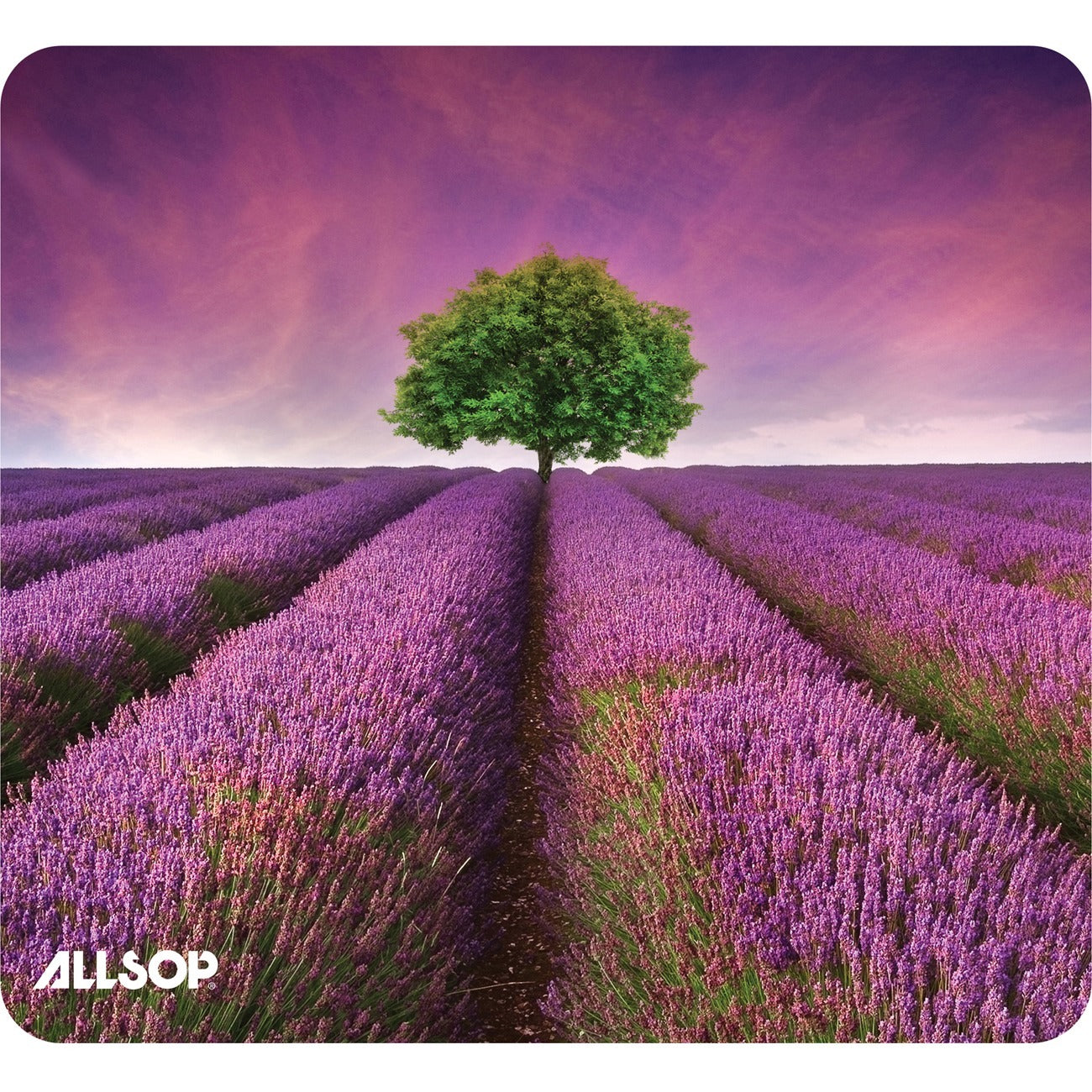 Allsop NatureSmart Image Mousepad - Lavender Field- (31422) - Lavender Field - 0.10" Height x 8.50" Width - Natural Rubber, Latex - 1 Each