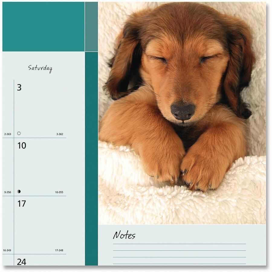 Blueline Man's Best Friend Dogs Desk Pad Calendar - Julian Dates - Monthly - 12 Month - January 2026 to December 2026 - 1 Month Single Page Layout - 22" x 17" Sheet Size - Desk Pad - Paper - 17" Height x 22" Width - Notes Area, Tear-off, Event Planning...