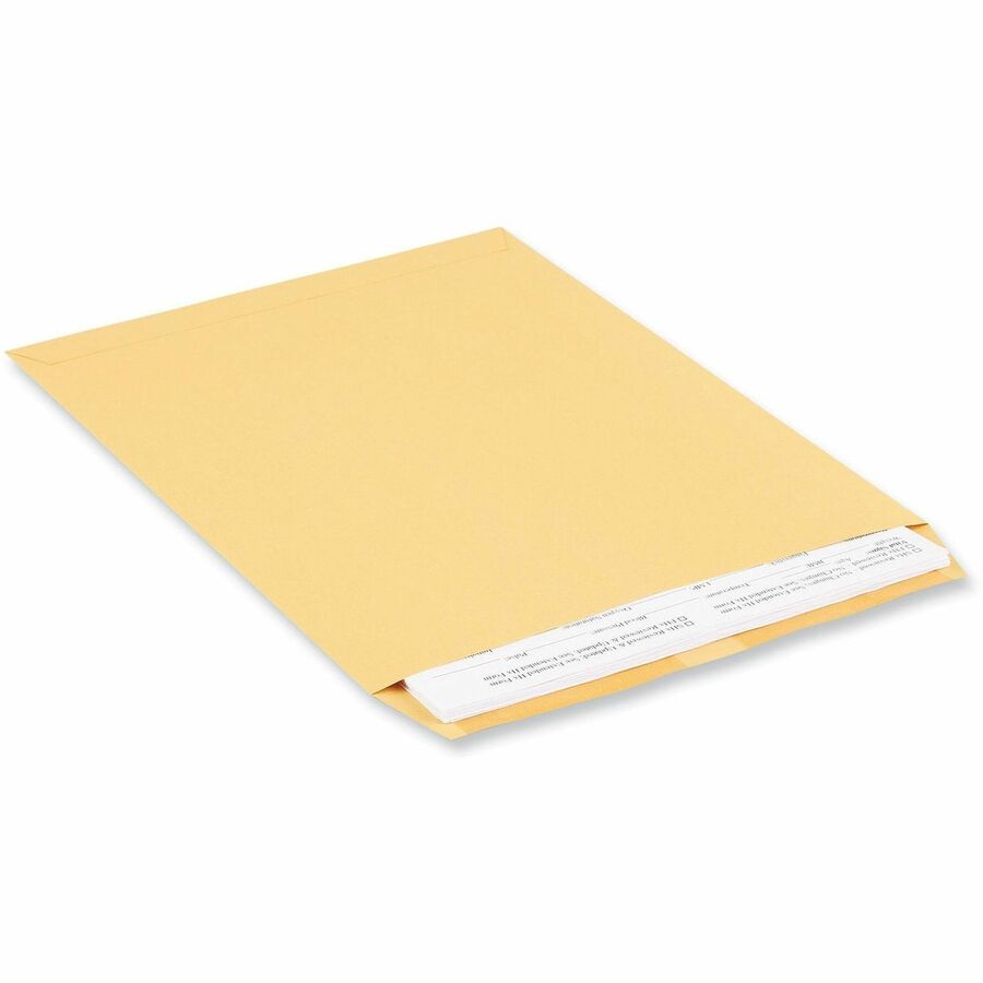 Universal Envelope - Catalog - #12 1/2 - 28 lb - Gummed - Brown Kraft - Kraft Paper - 250 / Box