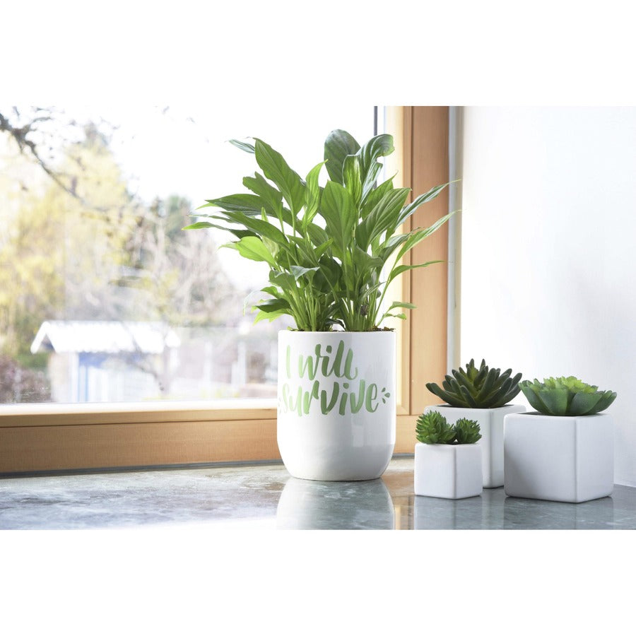 ec8a1fdf9e0e26d209c6812967f8c581