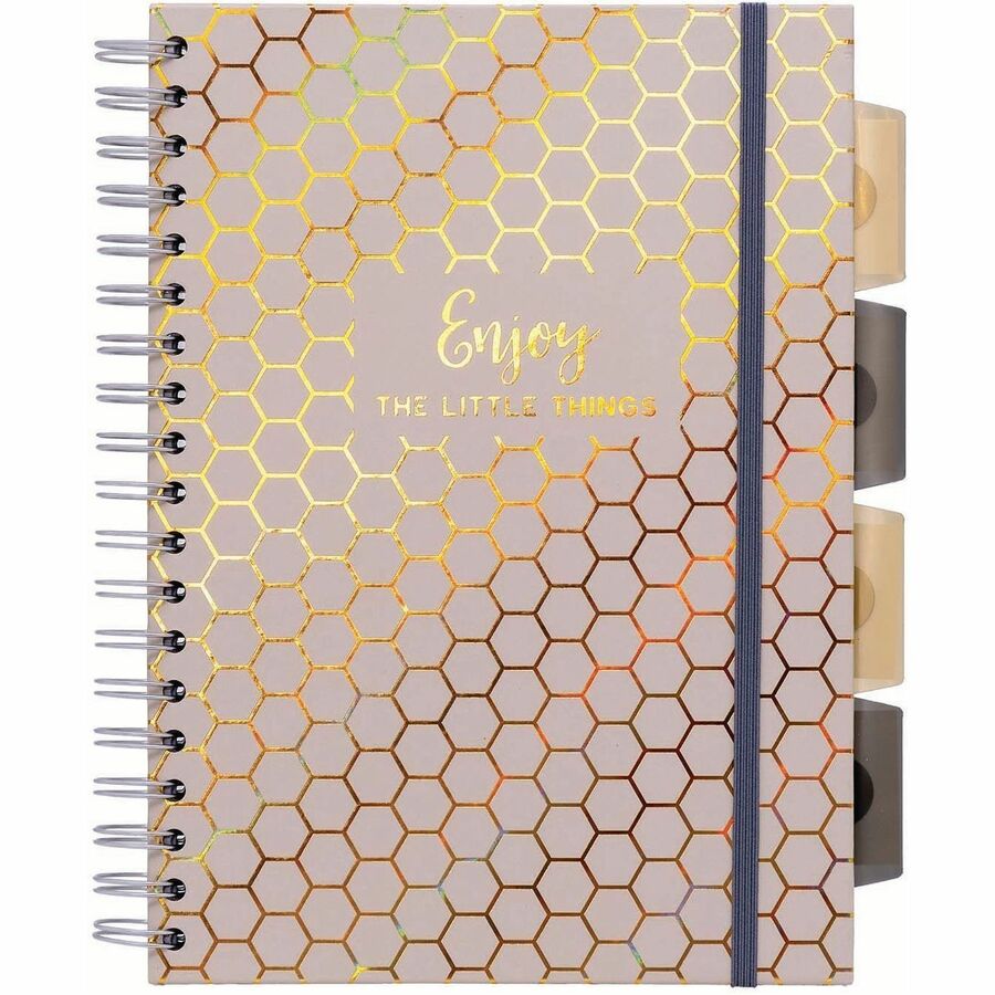 Pukka Pads Haze Notebook - 100 Sheets - 200 Pages - Twin Wirebound - 80 g/m² Grammage - Clear Poly, Transparent Cardboard Cover - Repositionable Divider, Storage Pocket - 3 / Pack