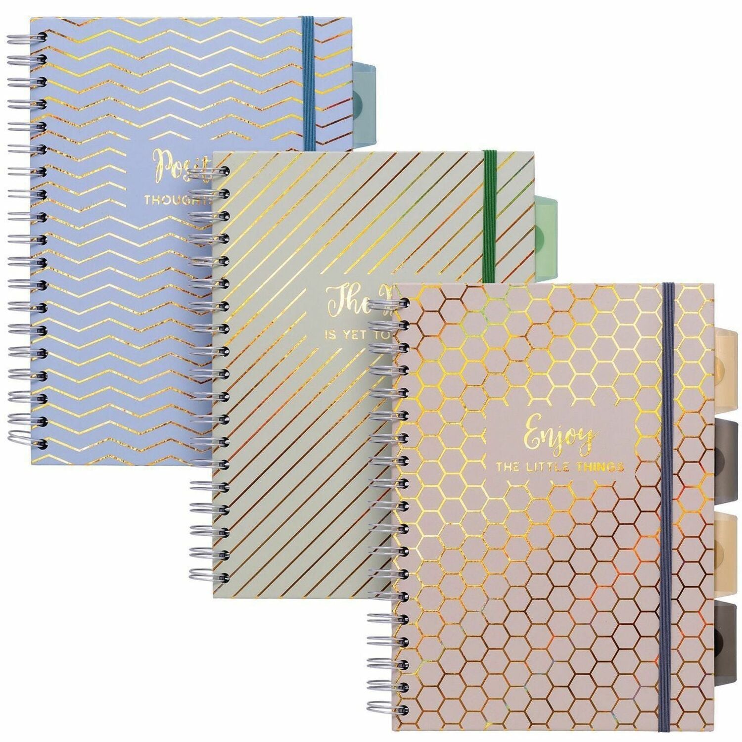 Pukka Pads Haze Notebook - 100 Sheets - 200 Pages - Twin Wirebound - 80 g/m² Grammage - Clear Poly, Transparent Cardboard Cover - Repositionable Divider, Storage Pocket - 3 / Pack