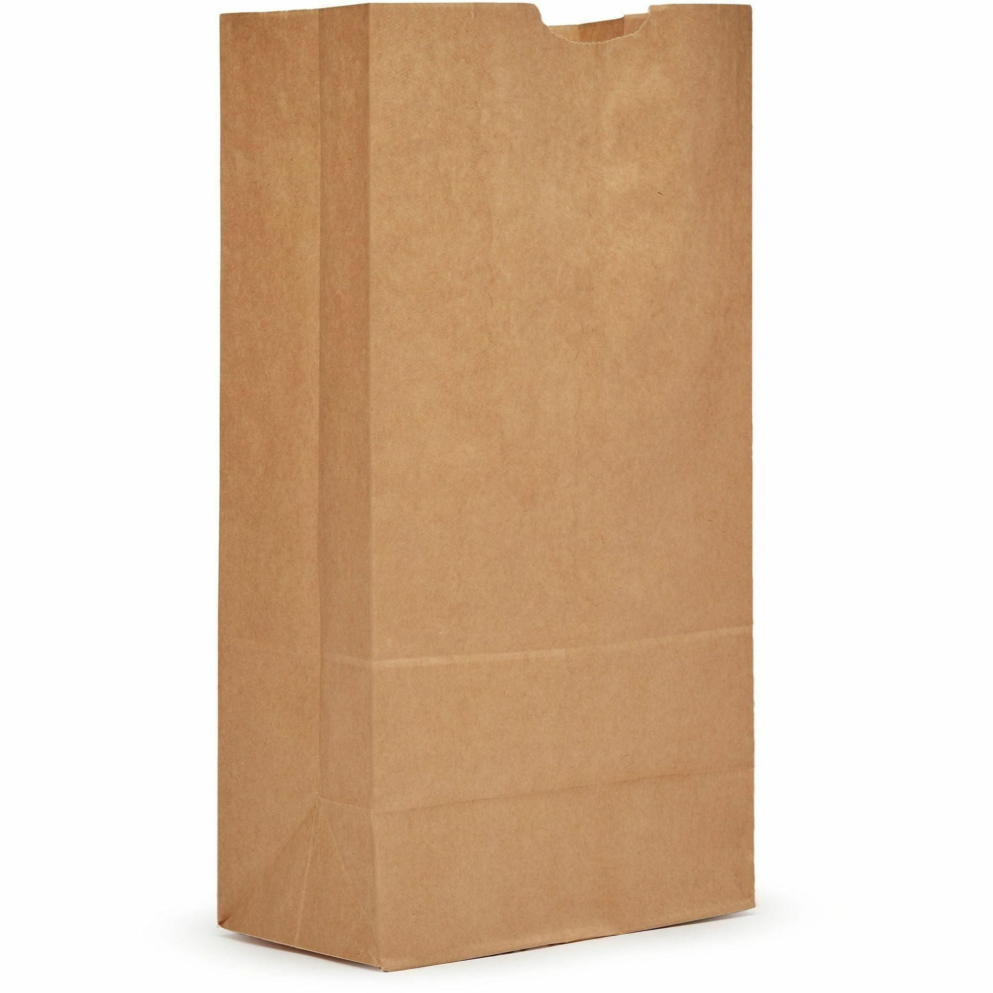 AJM Paper Grocery Bags - Natural Kraft - Paper - Grocery - 500 / Carton