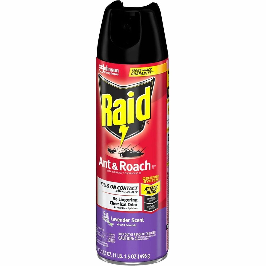 Raid Ant & Roach Killer Spray - Spray - Kills Water Bugs, Palmetto Bug, Silverfish, Carpet Beetle, Earwig, Spider, Asian Ladybeetle, Lady Beetle, Black Widow Spider, Ants, Cockroaches, ... - 17.50 fl oz - Red - 12 / Carton