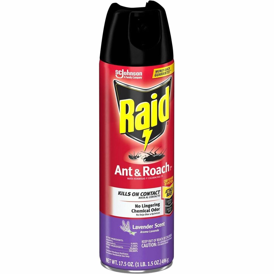 Raid Ant & Roach Killer Spray - Spray - Kills Water Bugs, Palmetto Bug, Silverfish, Carpet Beetle, Earwig, Spider, Asian Ladybeetle, Lady Beetle, Black Widow Spider, Ants, Cockroaches, ... - 17.50 fl oz - Red - 12 / Carton