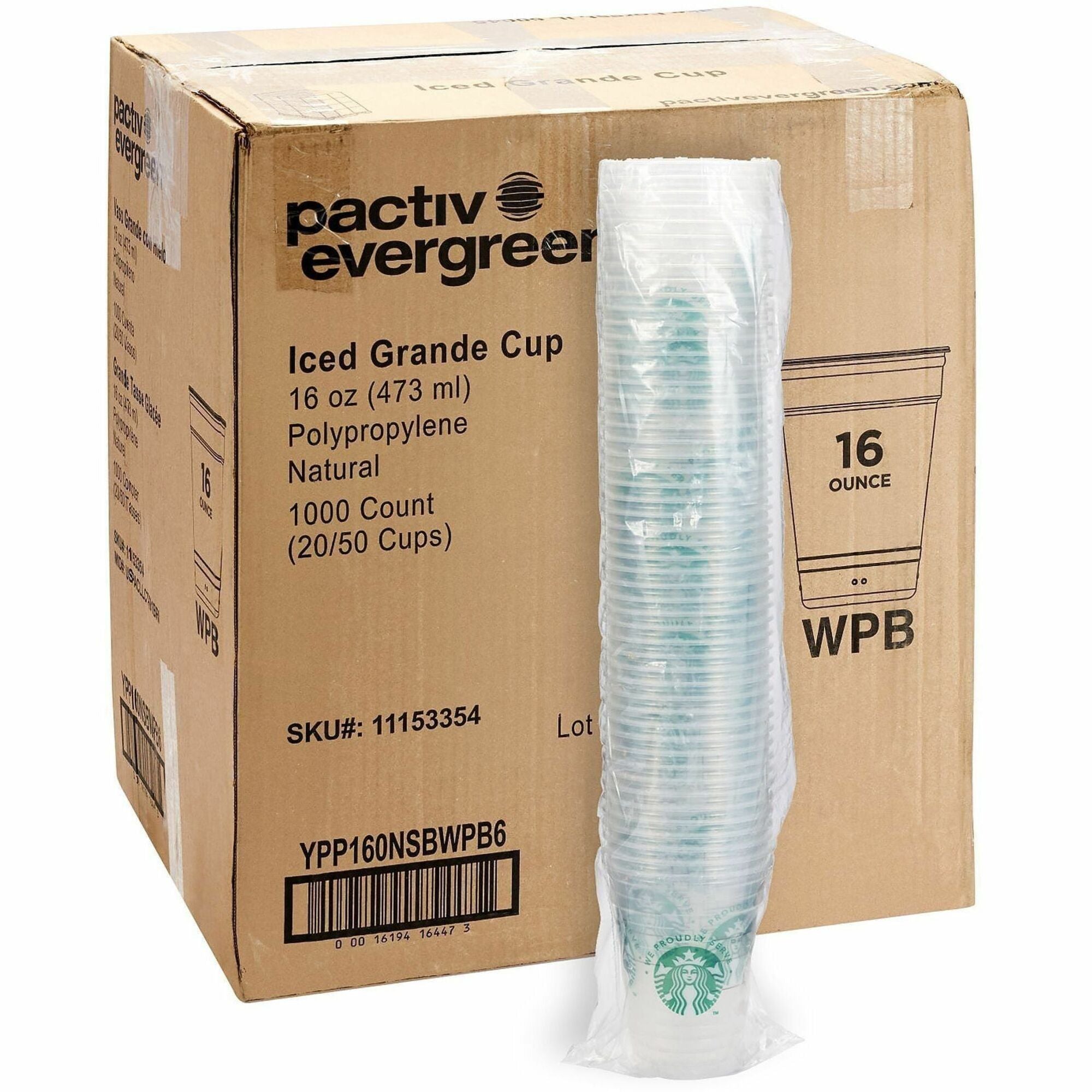 Starbucks Cup - 16 fl oz - Cold