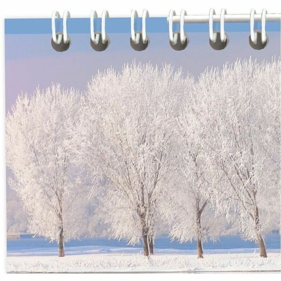 At-A-Glance 2026 Landscape Monthly Wall Calendar, Medium, 12" x 12" - Medium - Monthly - 12 Month - January 2026 to December 2026 - 1 Month Single Page Layout - 12" x 12" Sheet Size - White Sheet - Wire Bound - Paper - Date Indicator, Hanging Loop, Ble...