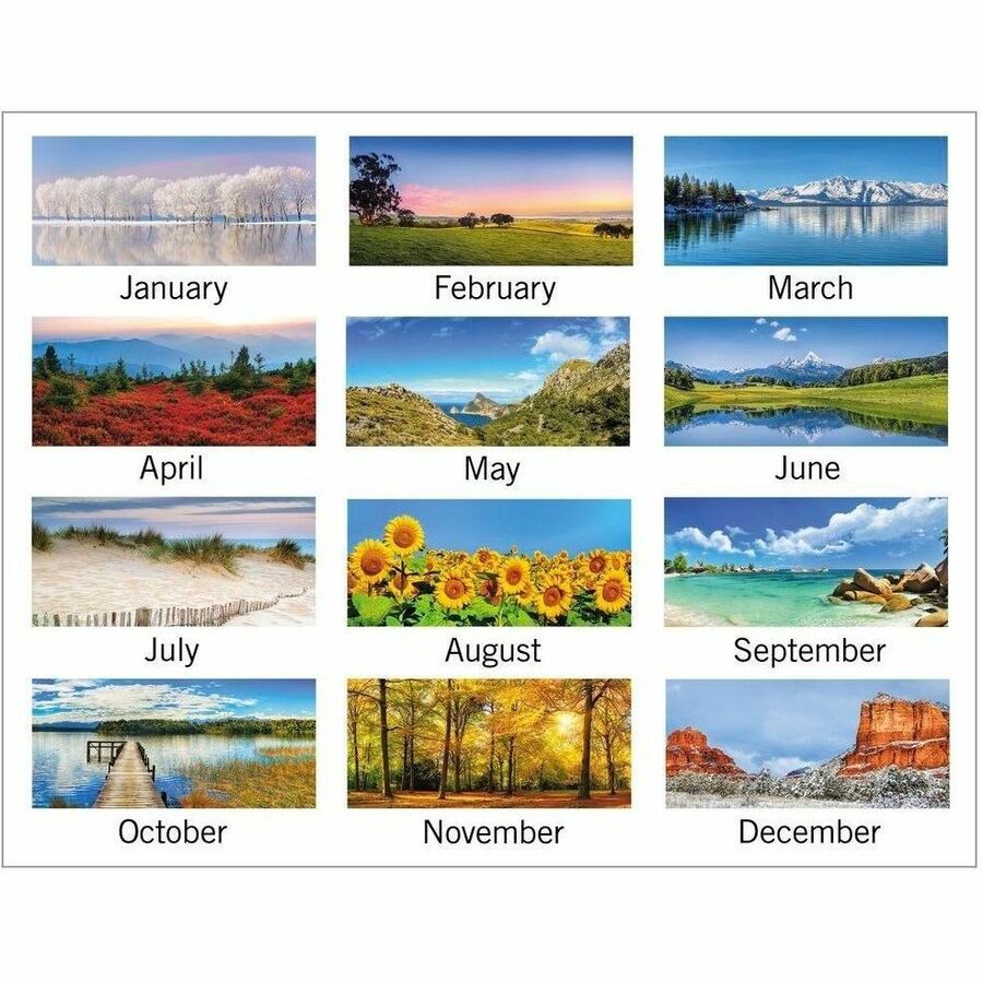 At-A-Glance 2026 Landscape Monthly Wall Calendar, Medium, 12" x 12" - Medium - Monthly - 12 Month - January 2026 to December 2026 - 1 Month Single Page Layout - 12" x 12" Sheet Size - White Sheet - Wire Bound - Paper - Date Indicator, Hanging Loop, Ble...