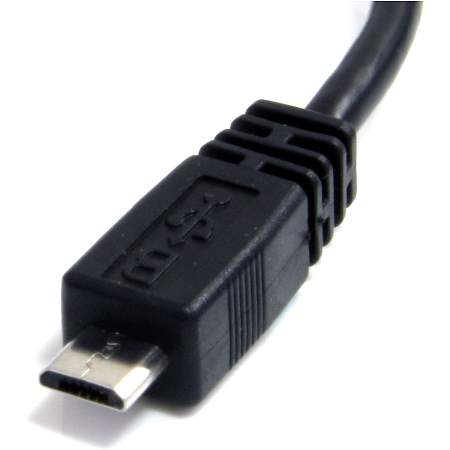 b5601e1620d0a194df2bf3e4659754cc