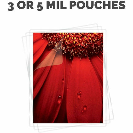 b0a6ff9864ee6c124bb23f239d409350