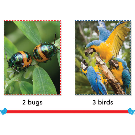 538979bc32ae978f4d3fad705942c225