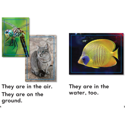 0d8c1dd13443549f630813a2c9e8b9ff