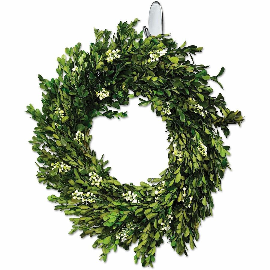 Command 2 lb. Strips Medium Hanging Hooks - 2 lb (907.2 g) Capacity - for Decoration - Plastic - 2 / Pack