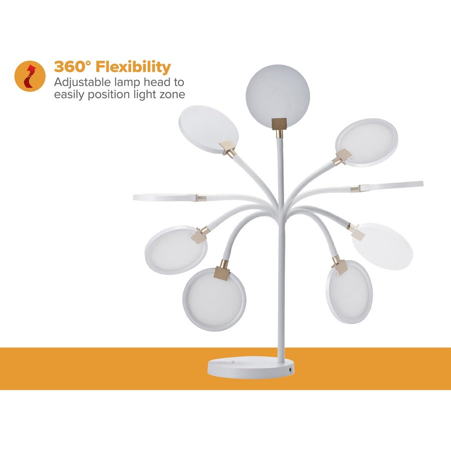 c21cb875670038dd12314396b8573f36