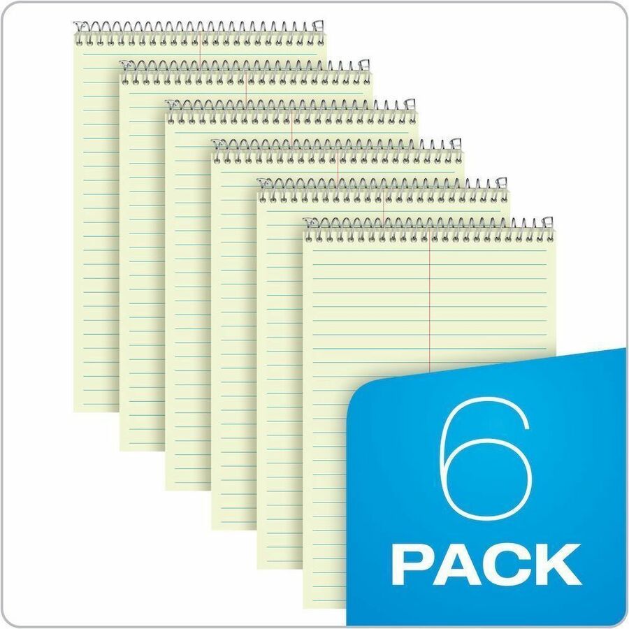 Ampad White Cover Steno Book - 80 Sheets - 160 Pages - Spiral Bound - Gregg Ruled Margin - 20 lb Basis Weight - 6" x 9" Sheet Size - Green Tint Paper - White Chipboard Cover - Portable, Spiral Bound, Sturdy Cover - 6 / Pack