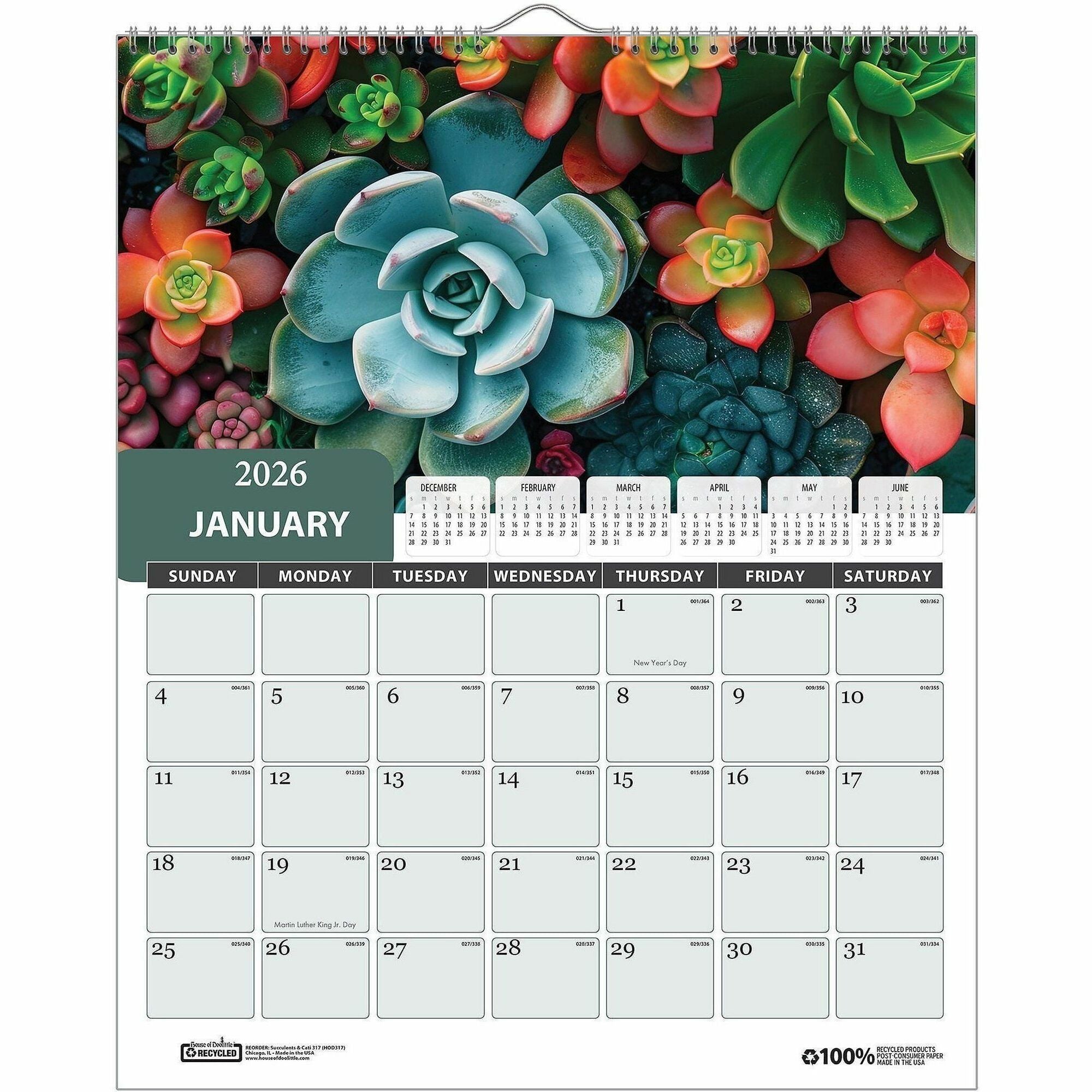 House of Doolittle Recycled Succulent & Cacti Wall Calendar - Monthly - 12 Month - January 2026 to December 2026 - 1 Month Single Page Layout - 11" x 14" Sheet Size - 2" x 1.40" Block - Wire Bound - Wall Mount - Multi - Paper - Monthly Calendar, Holida...
