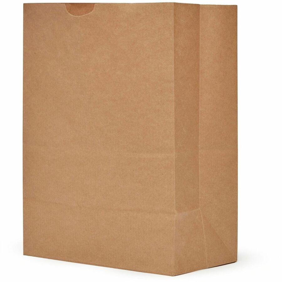 AJM Paper Grocery Bags - 5.25 gal Capacity - Natural Kraft - Paper - Grocery, Supplies - 500 / Carton